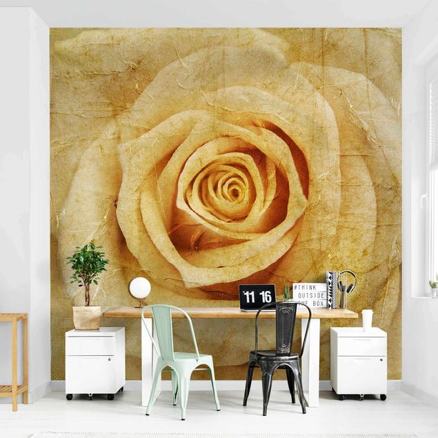 Papier peint floral Vieille Rose