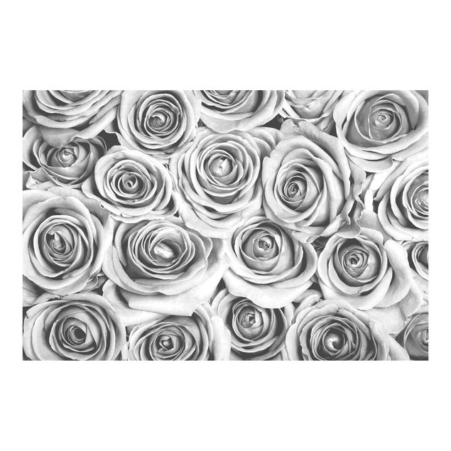 tapisserie panoramique Vintage Roses Black And White