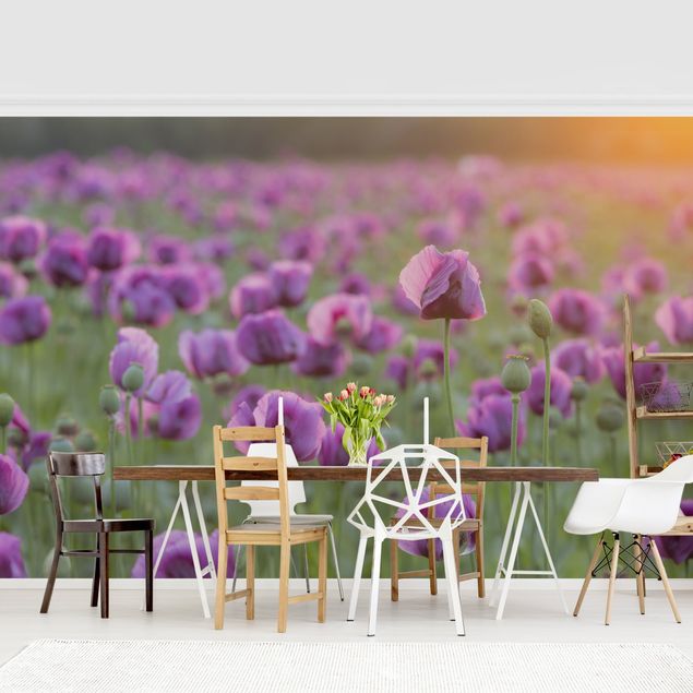 Papier peint fleurs Prairie de coquelicots violets au printemps