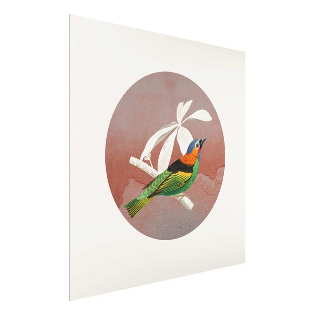 Tableau en verre animaux Collage d'oiseaux dans un cercle ll