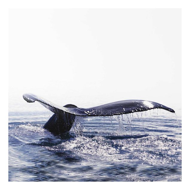 Tableau deco bleu Chant de baleine en Islande