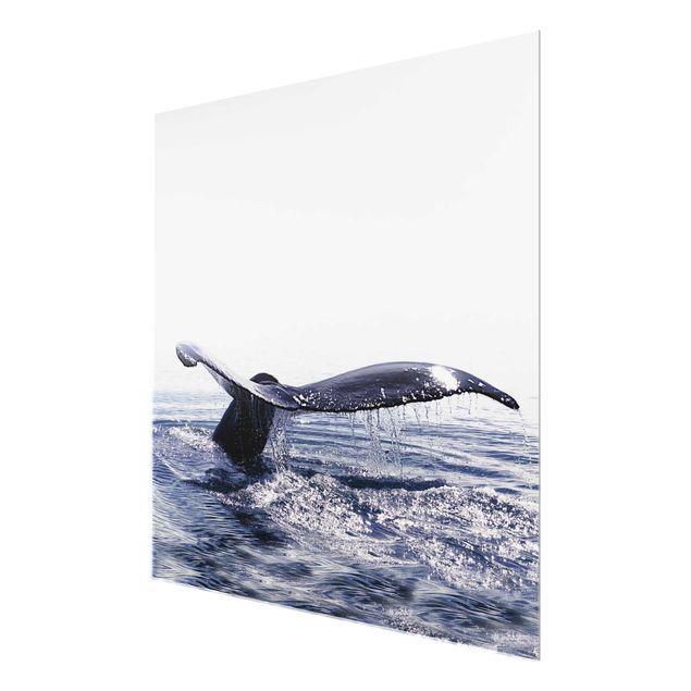 Tableaux muraux Chant de baleine en Islande