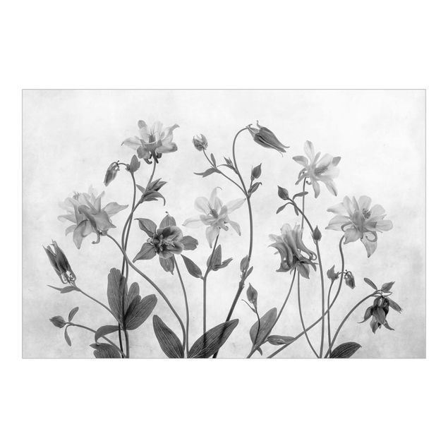 Papier peint - Forest Aquilegia Black And White