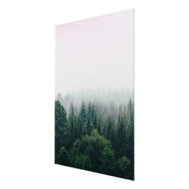 Tableau verre paysage Forêt Brumeuse Crépuscule