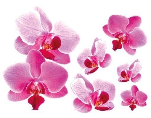 Déco mur cuisine Orchidée rose