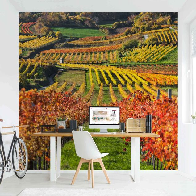 Papier peint panoramique paysage Vue sur le vignoble