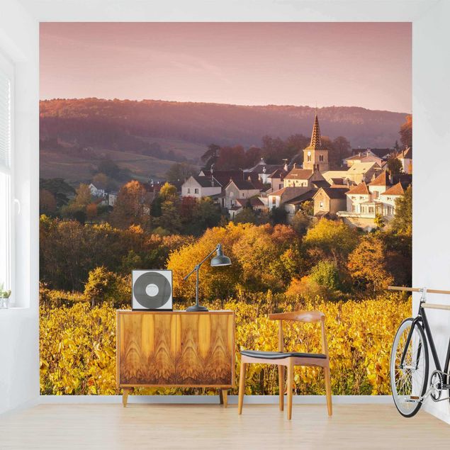 Papiers peints montagne Vignobles en France