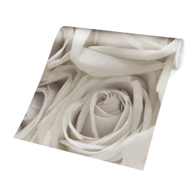 Papiers peints blancs White Roses