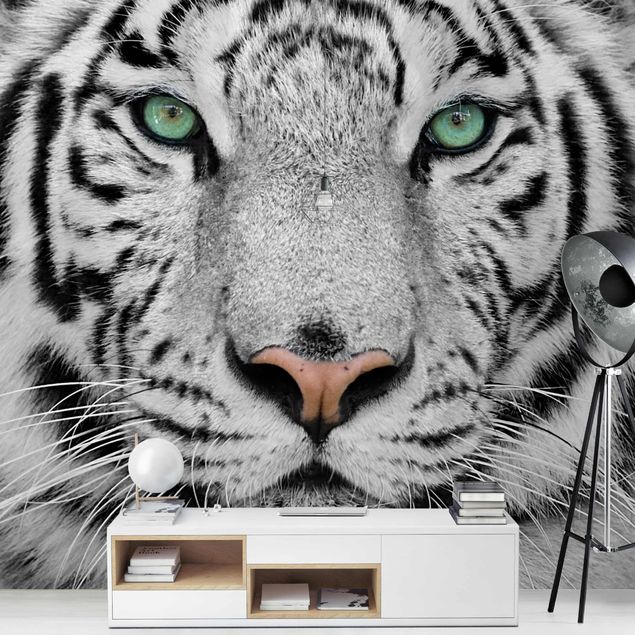 Papier peint moderne Tigre Blanc