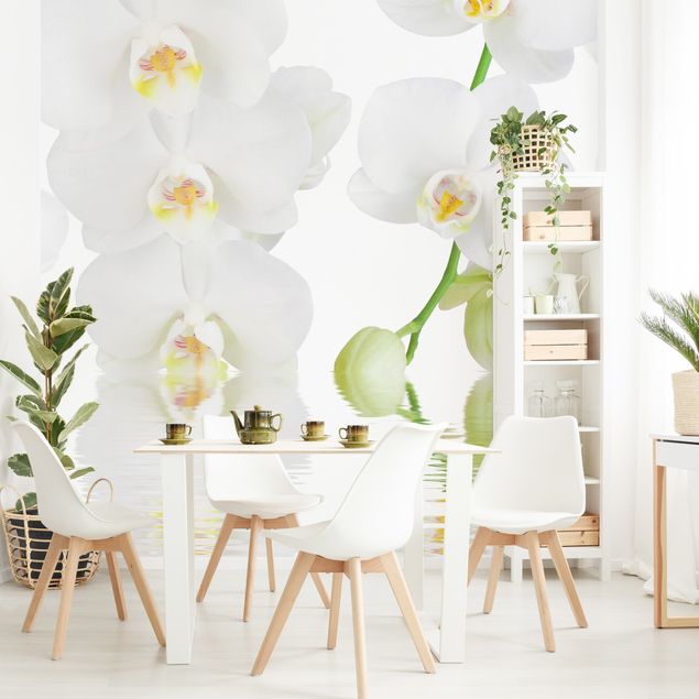 Papier peint orchidées Spa Orchid - Orchidée blanche