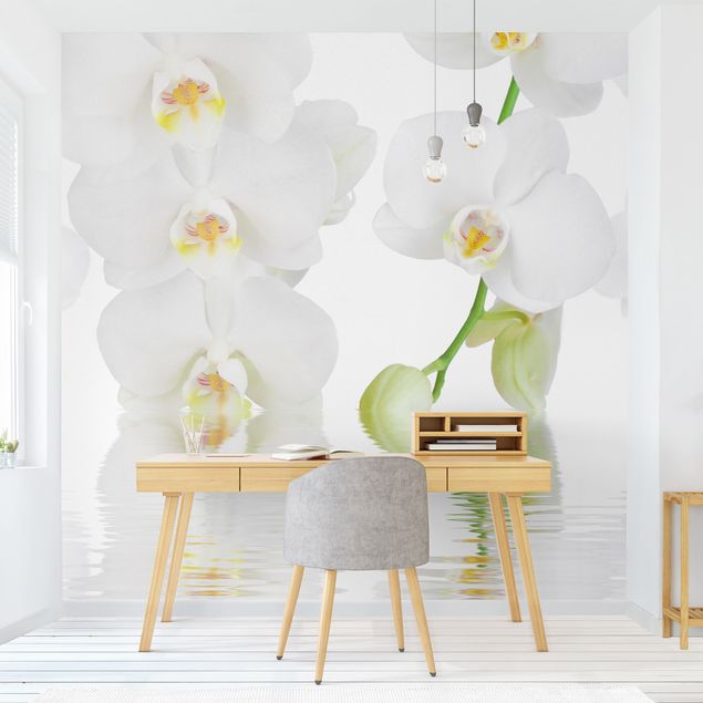 Papier peint moderne Spa Orchid - Orchidée blanche