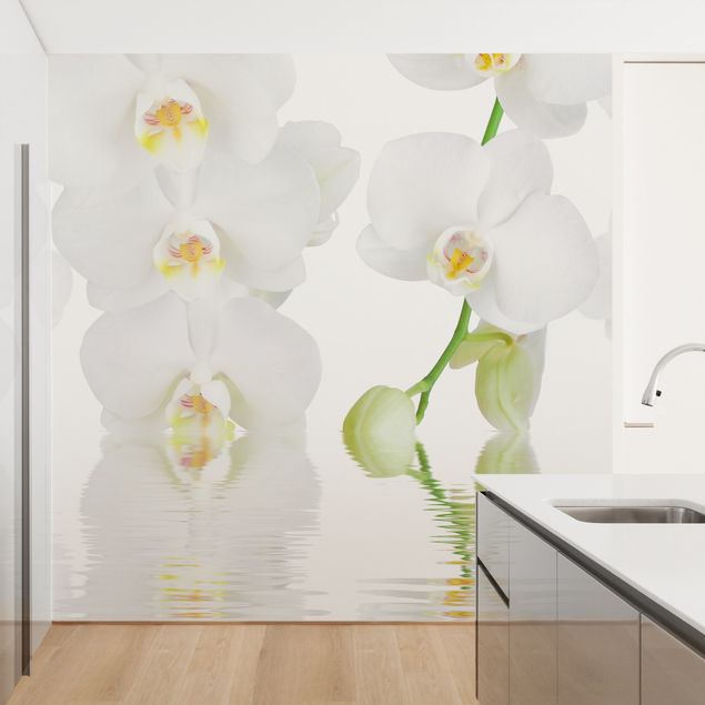 Papier peint fleurs Spa Orchid - Orchidée blanche
