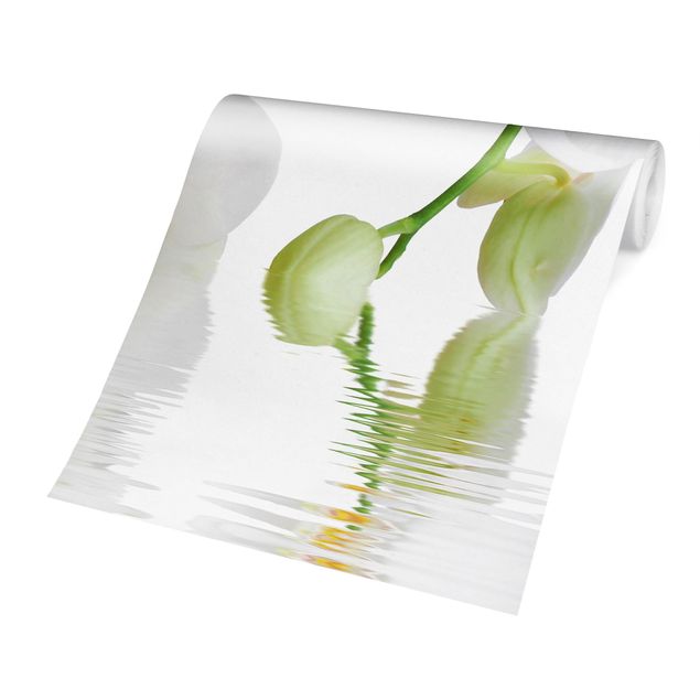 Papier peint panoramique Spa Orchid - Orchidée blanche