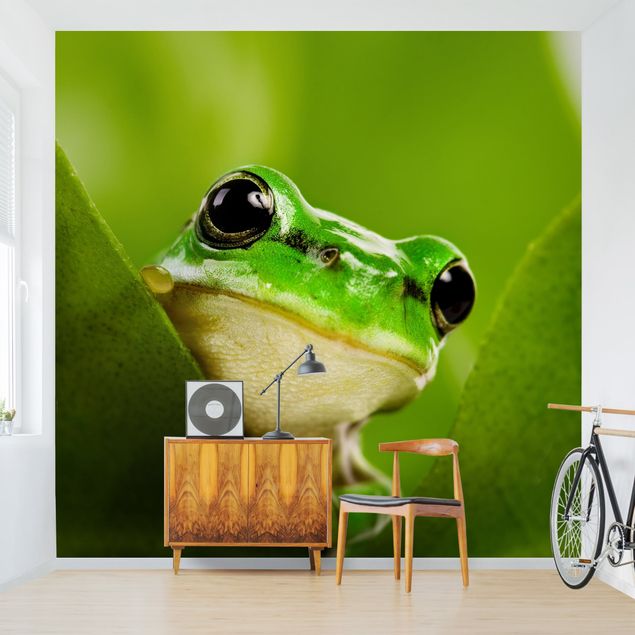 Papier peint moderne Frog