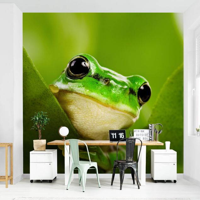 Papier peint panoramique Frog