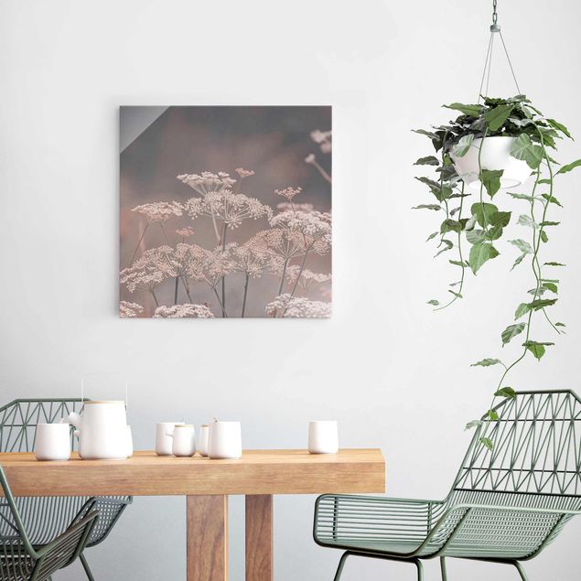 Tableaux en verre fleurs Apiaceae sauvage