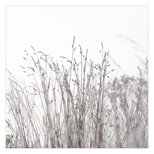 Papier peint panoramique Winter Grasses