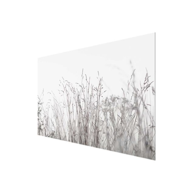 Tableaux en verre magnétique Winter Grasses