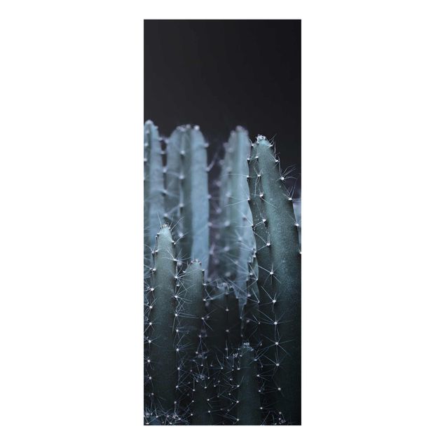 Tableaux noirs Cactus du désert la nuit