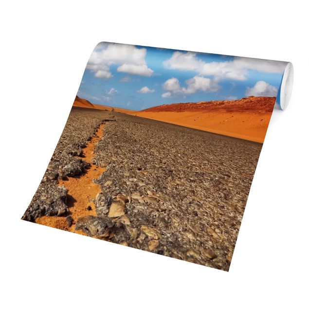 Papier peint 3D Route du désert