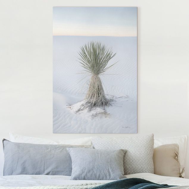 Tableaux sur toile avec dunes Yucca palm in white sand