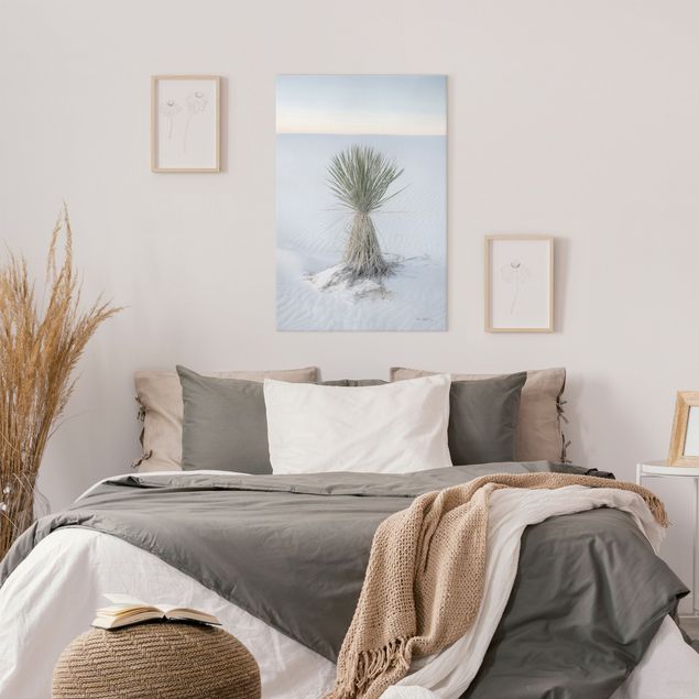 Tableau paysage Yucca palm in white sand