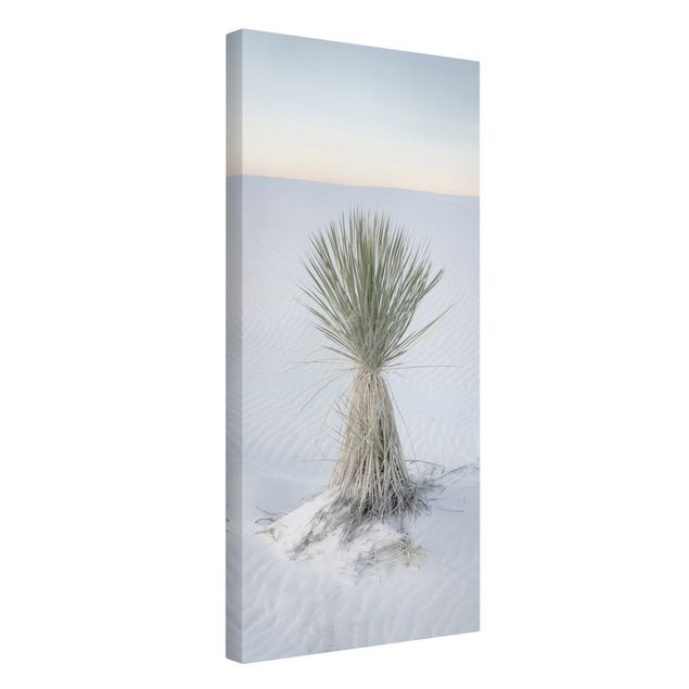 Tableaux moderne Yucca palm in white sand