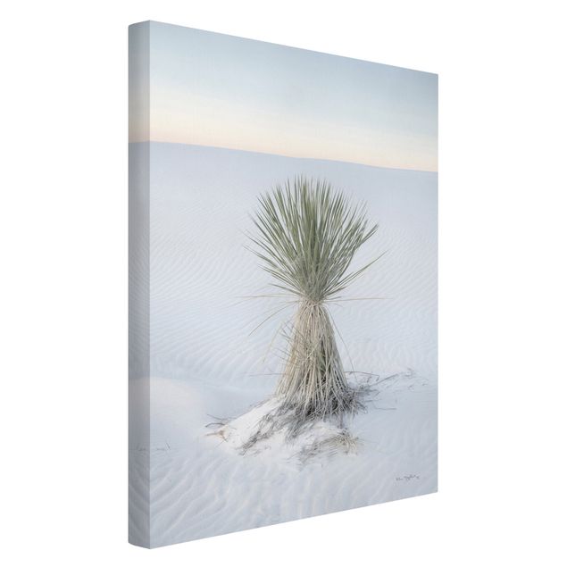 Tableau moderne Yucca palm in white sand