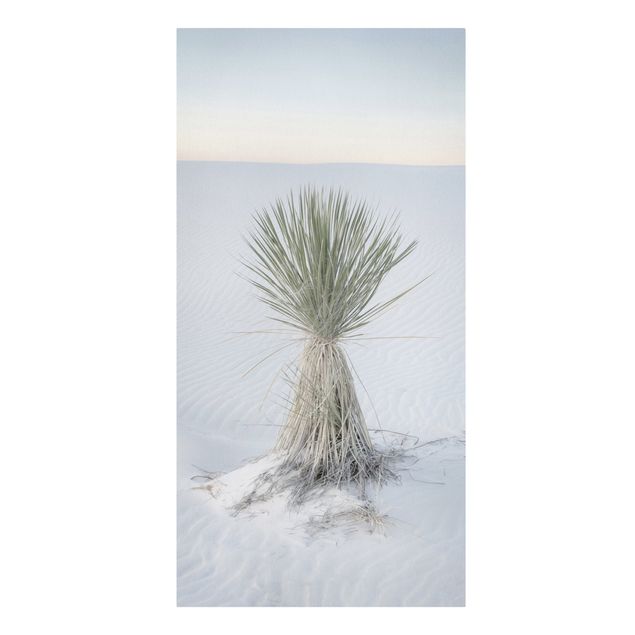 Tableau deco nature Yucca palm in white sand