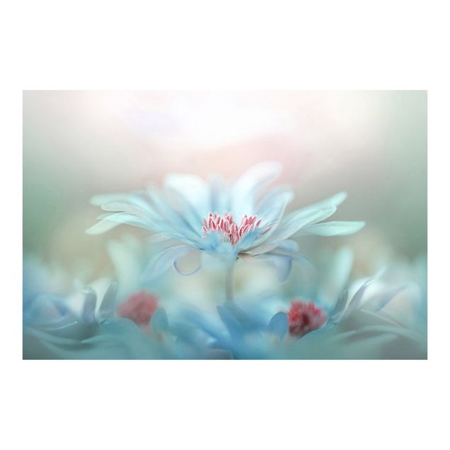 Papier peint - Delicate Flowers In Pastel