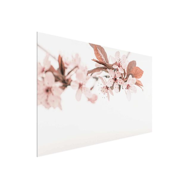 Tableau fleurs Délicates fleurs de cerisier sur une brindille