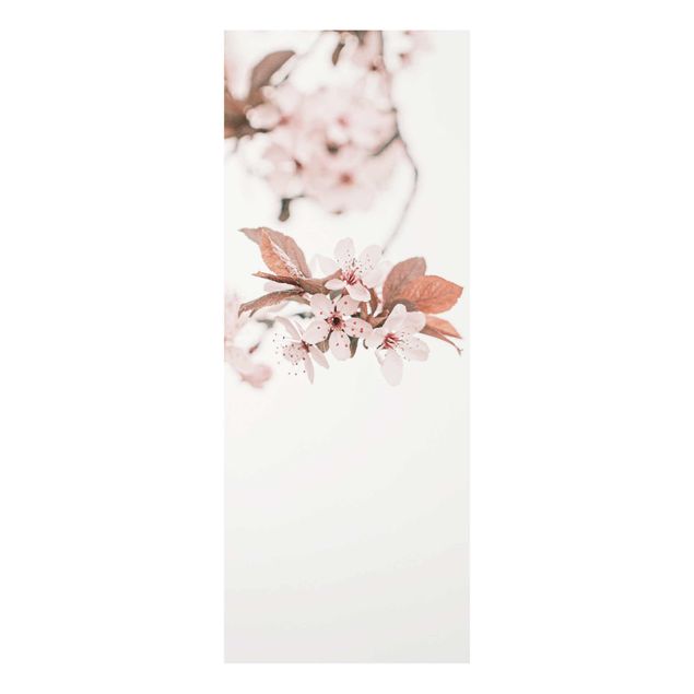 Tableau rose Délicates fleurs de cerisier sur une brindille