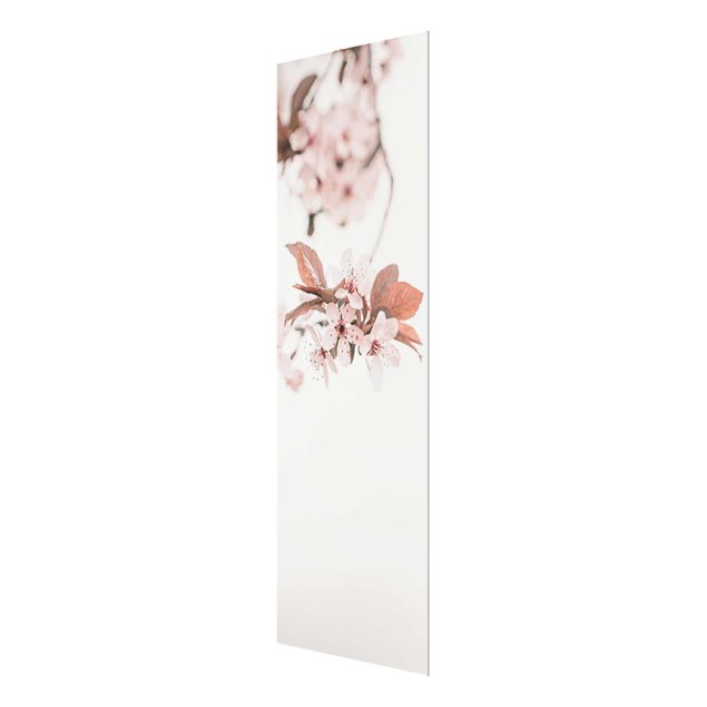 Tableau décoration Délicates fleurs de cerisier sur une brindille