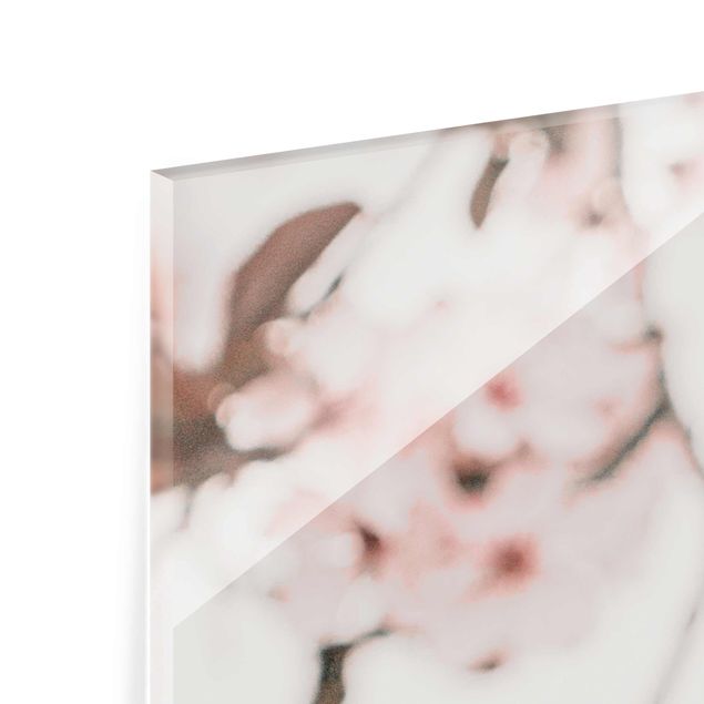 Tableaux en verre magnétique Délicates fleurs de cerisier sur une brindille
