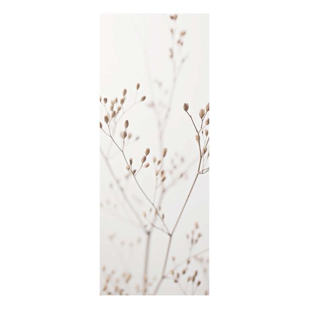 Tableaux Gemmes délicates sur tige de fleurs blanches