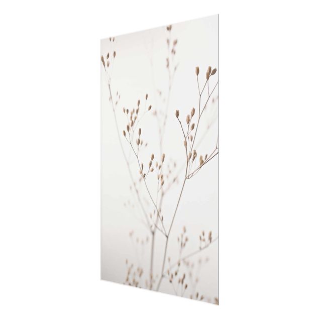 Tableaux en verre magnétique Gemmes délicates sur tige de fleurs blanches