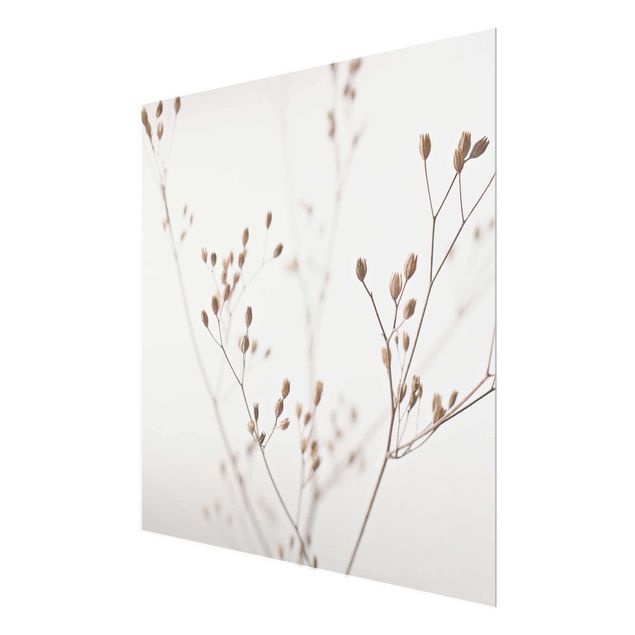 Tableaux en verre magnétique Gemmes délicates sur tige de fleurs blanches