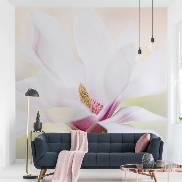 Déco mur cuisine Délicate fleur de magnolia