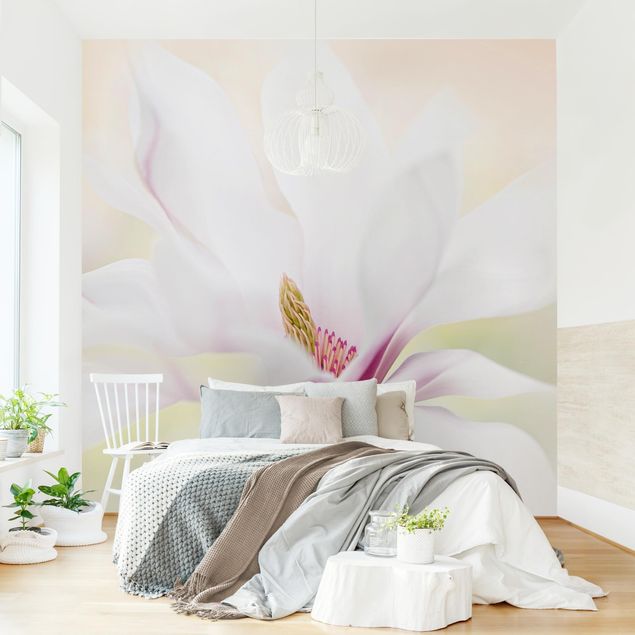 Tapisserie moderne Délicate fleur de magnolia