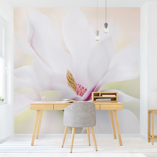 papier peint fleuri Délicate fleur de magnolia