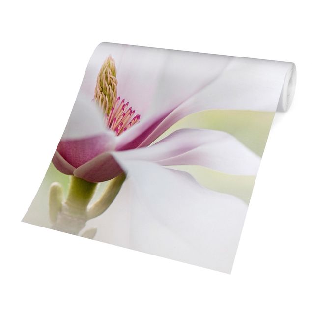 papier peint xxl Délicate fleur de magnolia