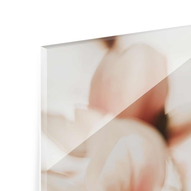 Tableaux en verre magnétique Délicates fleurs de magnolia dans un jeu d'ombres et de lumières