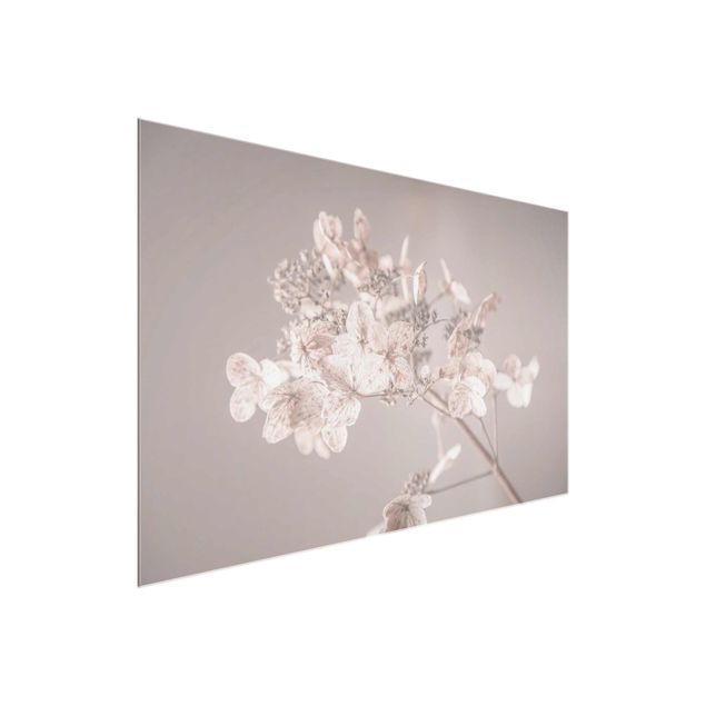 tableaux floraux Delicate White Hydrangea