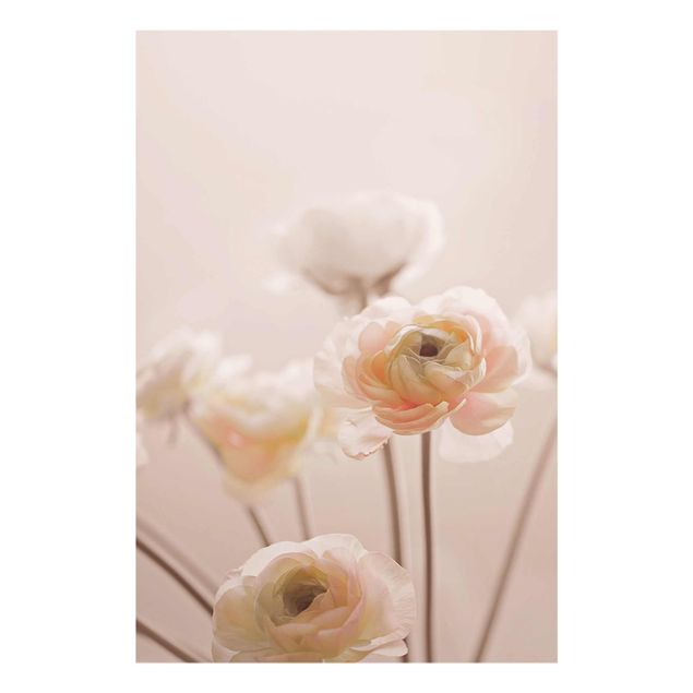 Tableaux fleurs Délicat bouquet de fleurs rose pâle