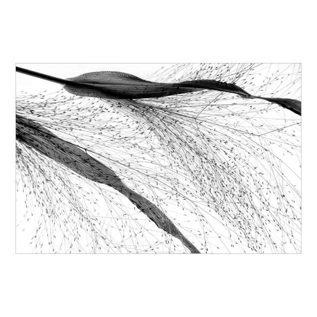 Papier peint - Delicate Reed With Small Buds Black And White