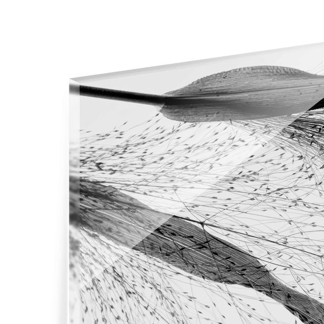 Tableaux en verre magnétique Roseau délicat avec bourgeons subtils noir et blanc
