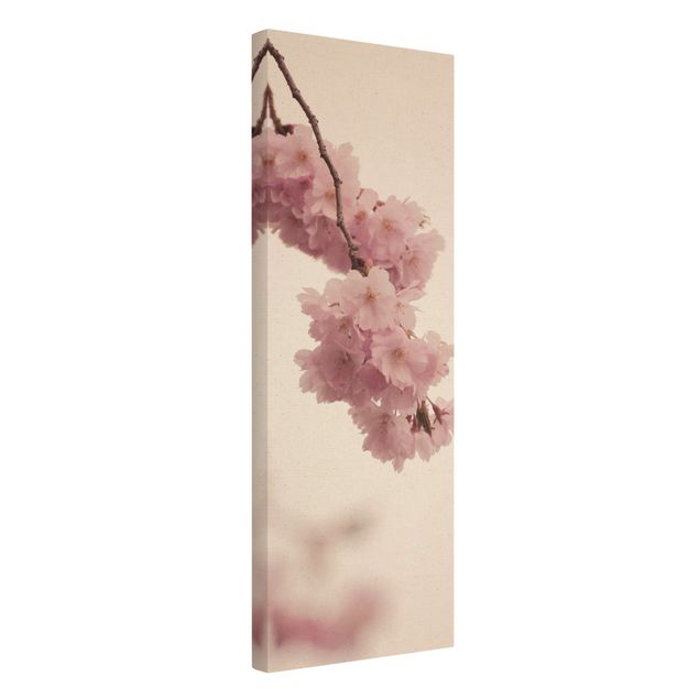 Tableau décoration Fleur de printemps rose pâle avec bokeh