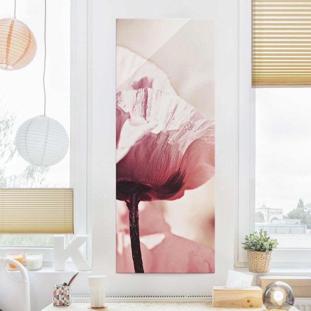 Glass print - Pale Pink Poppy Flower With Water Drops