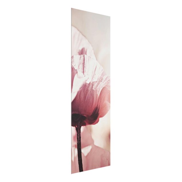 Tableaux en verre fleurs Fleur de coquelicot rose pâle avec gouttes d'eau