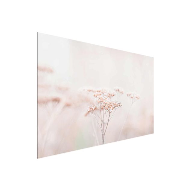 tableaux floraux Pale Pink Wild Flowers